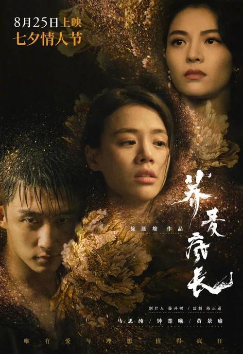 毕业证明公证书在哪里办